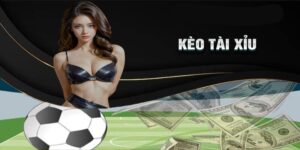 Kèo tài xỉu wi88 được nhiều hội viên yêu thích